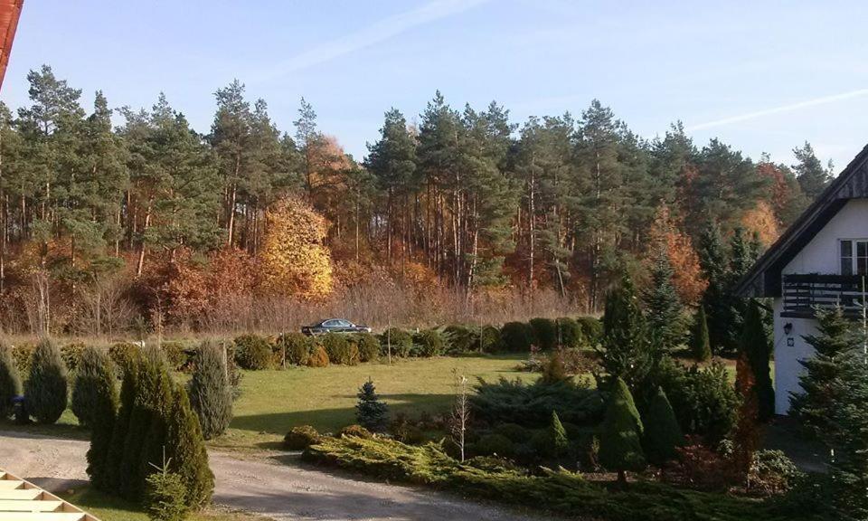 Pokoje Goscinne Przylesie Łobez Esterno foto