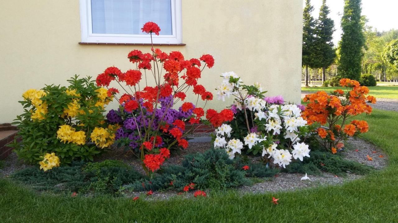Pokoje Goscinne Przylesie Łobez Esterno foto