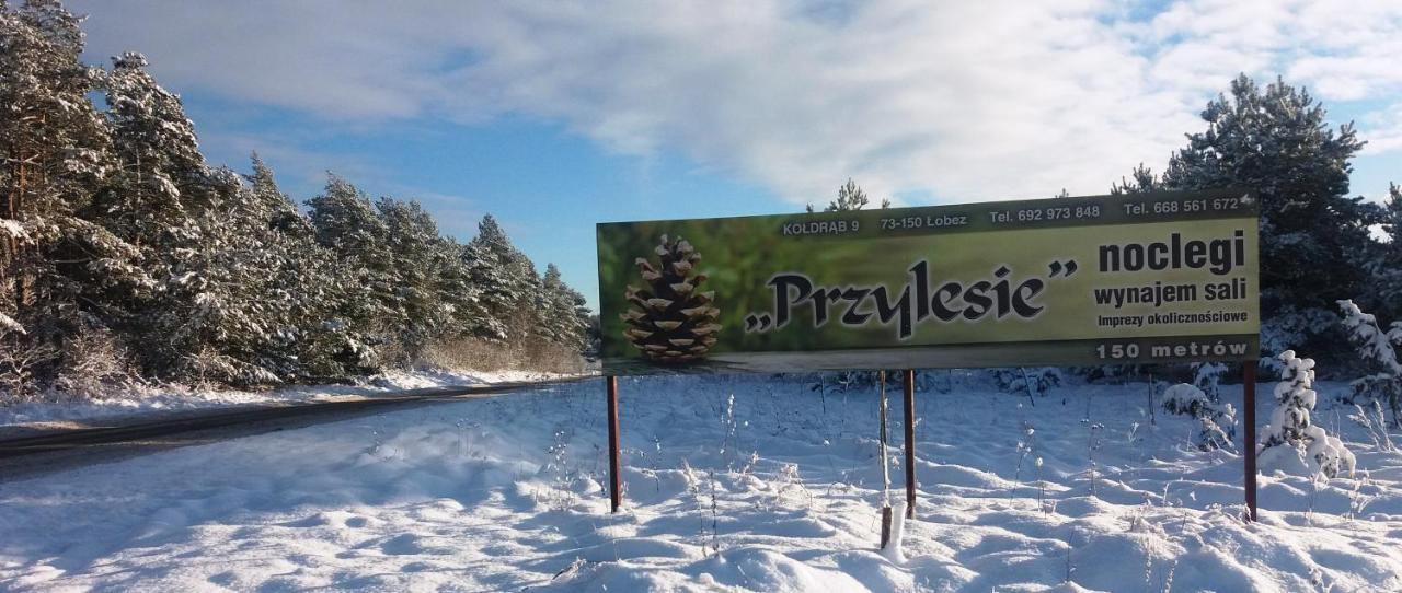 Pokoje Goscinne Przylesie Łobez Esterno foto