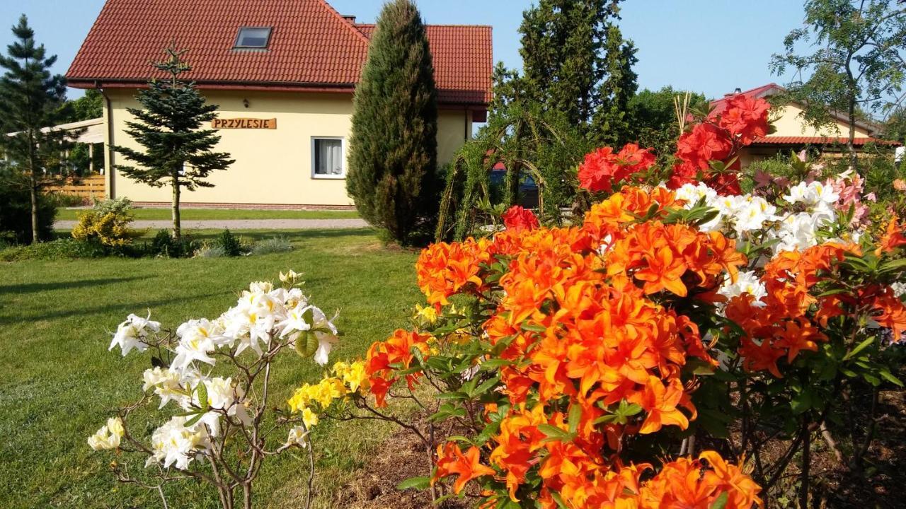 Pokoje Goscinne Przylesie Łobez Esterno foto